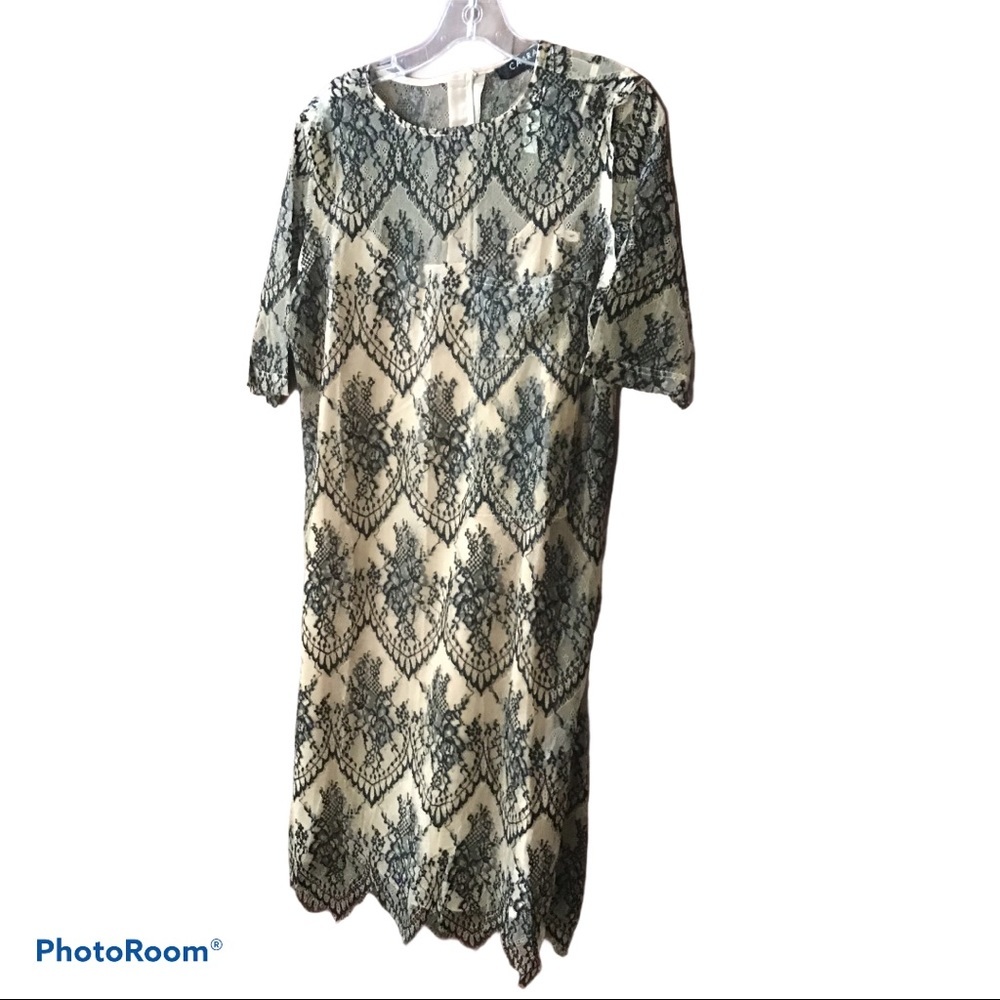 Caara Tan & Black Lace Dress